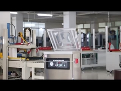 DUOQI DZ-400 Single Chamber Vacuum Packaging Machine With Electrical Control